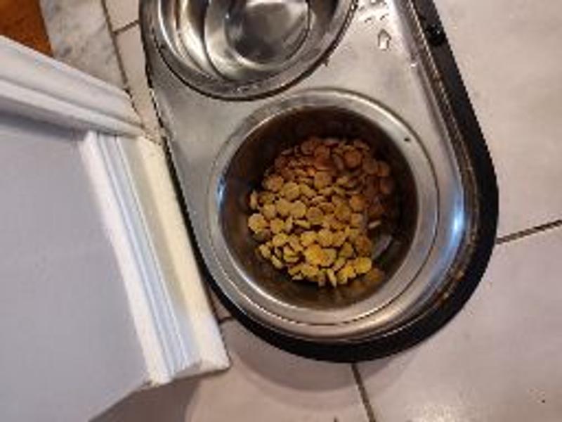 Photo - commentaire 3.