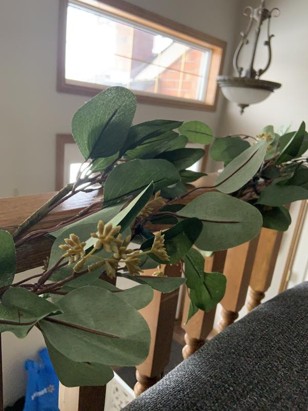 Photo - commentaire 6.