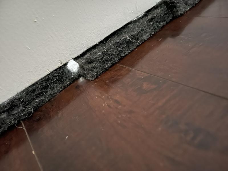 Photo - commentaire&nbsp;2.