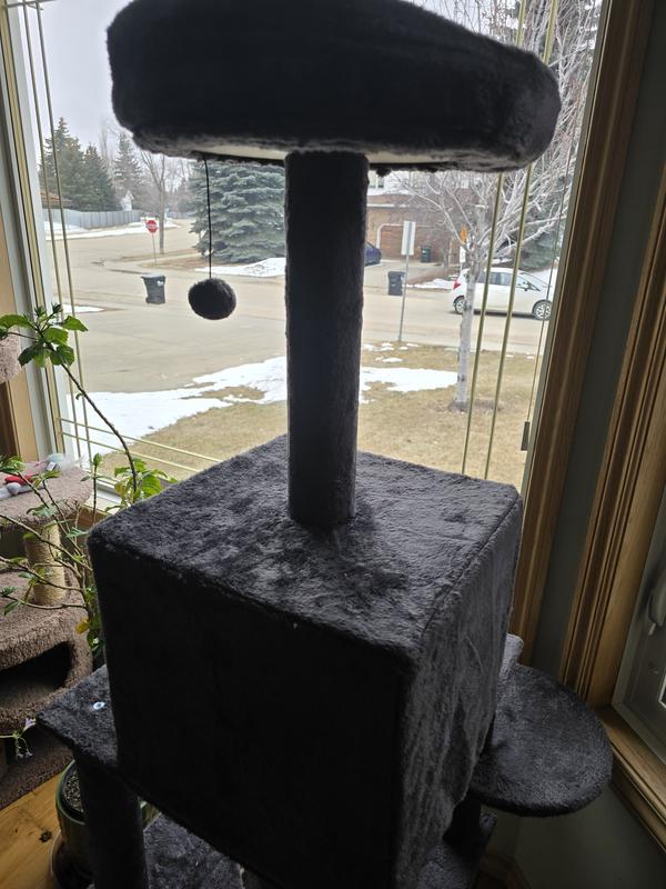 Photo - commentaire&nbsp;1.