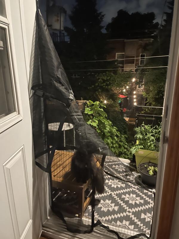 Photo - commentaire&nbsp;4.