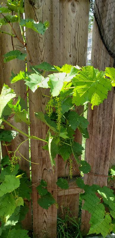 Photo - commentaire&nbsp;4.