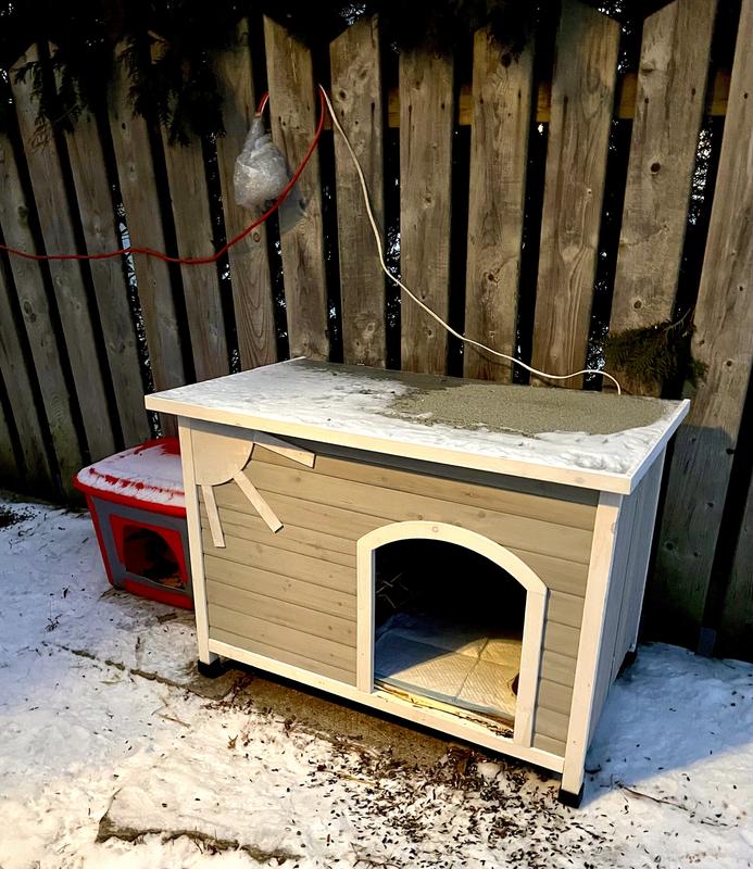 Outdoor dog clearance kennel canadian tire