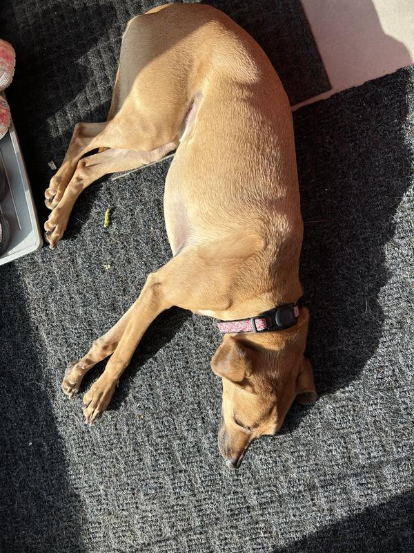 Dirty feet on the carpet