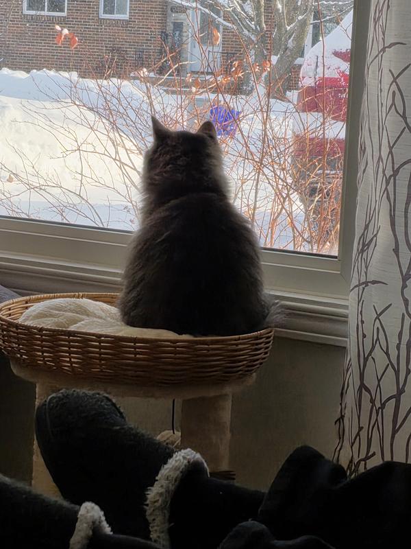 Photo - commentaire&nbsp;1.