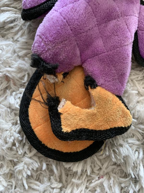 Photo - commentaire&nbsp;7.