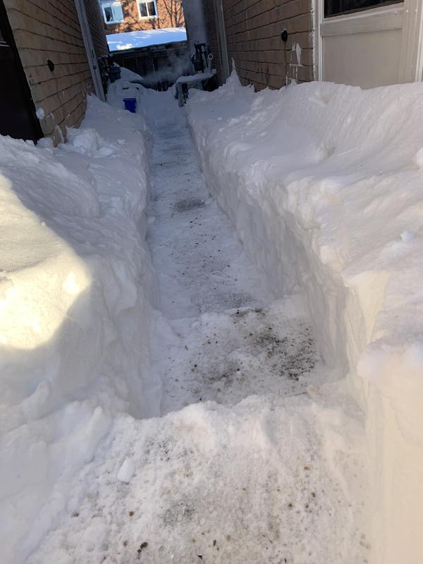 Photo - commentaire&nbsp;2.