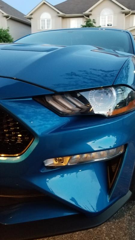 Photo - commentaire 4.