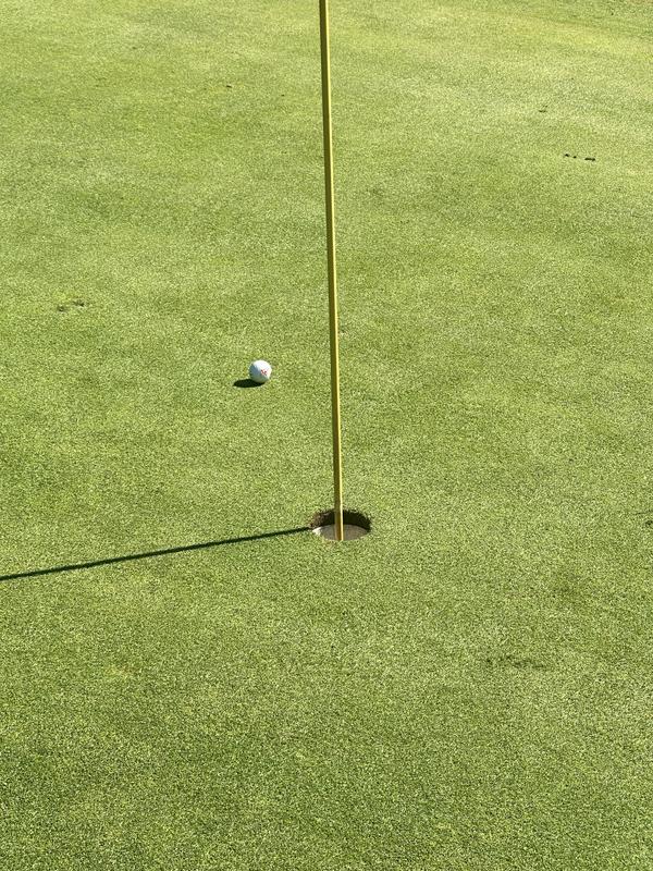 Got an eagle first time I used it