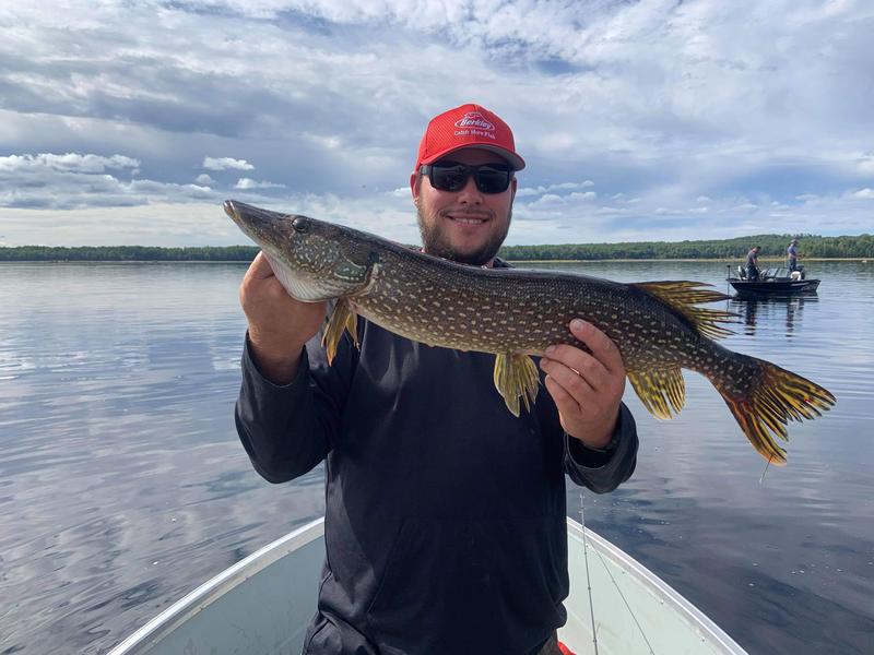 Pêche au doré et brochet
