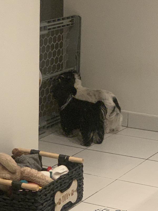 Photo - commentaire 1.