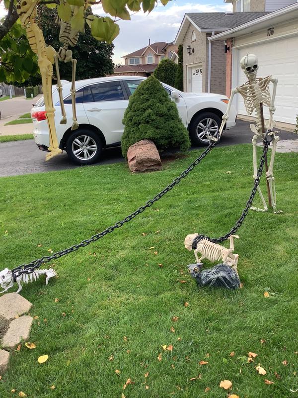 Photo - commentaire 3