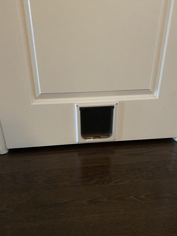Cat door