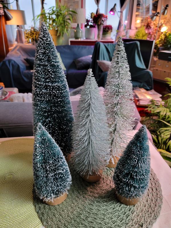 Bottle brush trees