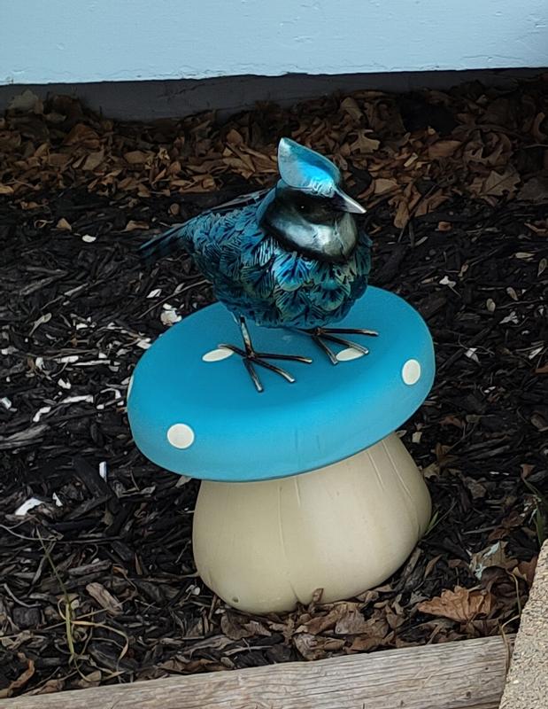 Blue Jay on top of a toadstool also bought at Canadian Tire