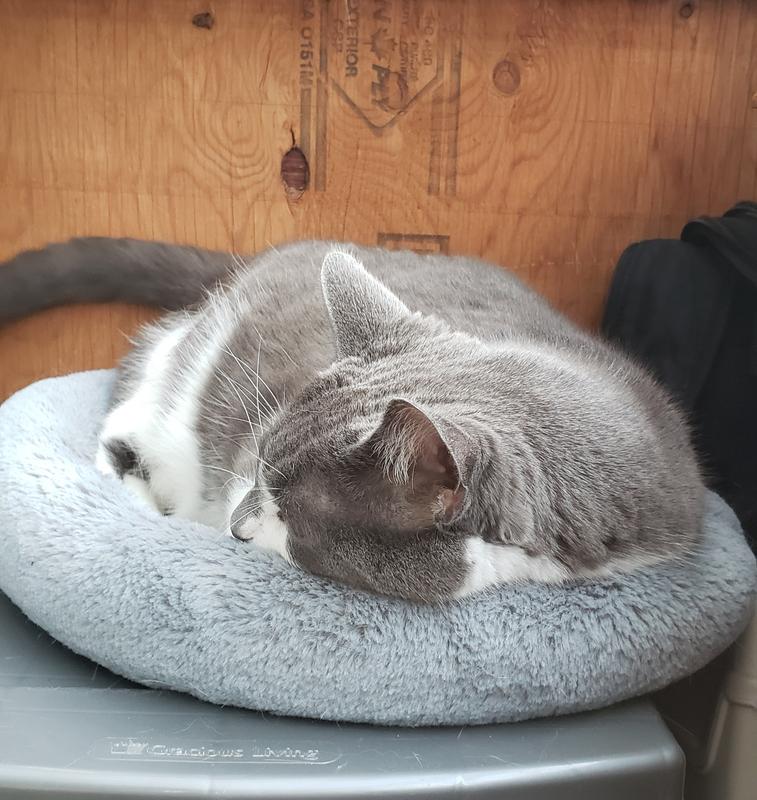 Photo - commentaire&nbsp;1.