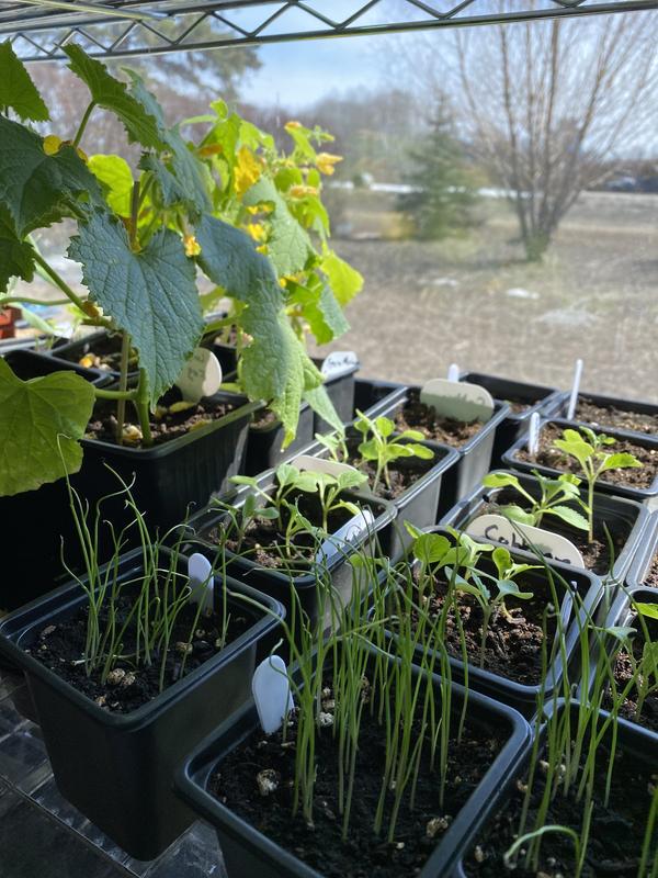 Photo - commentaire 1.