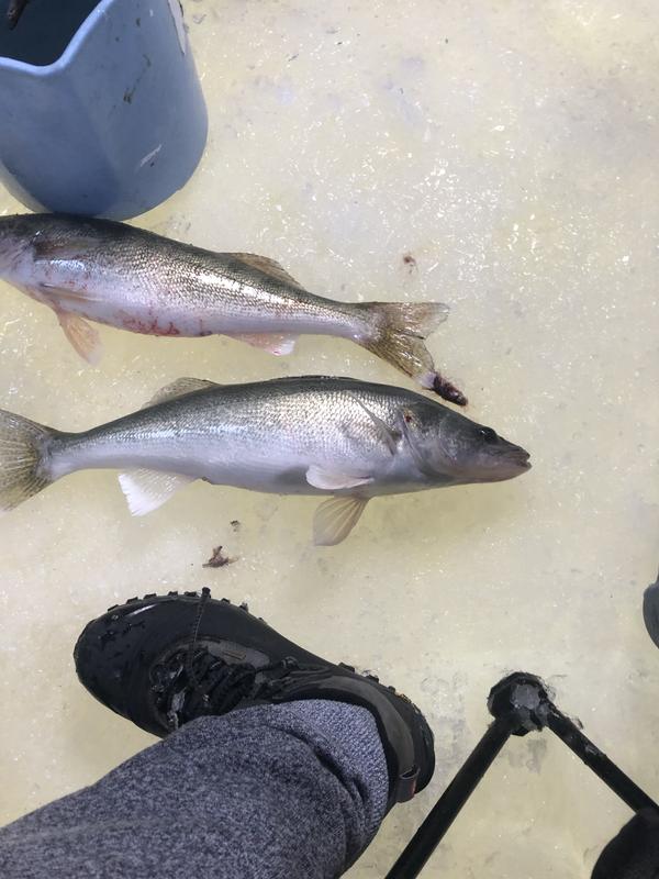 The fish were biting at least.