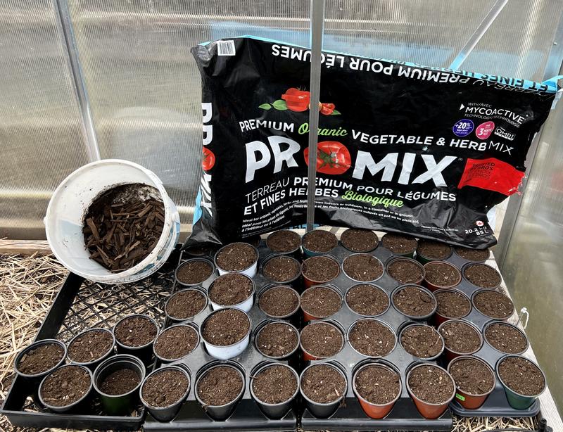 Photo - commentaire&nbsp;7.