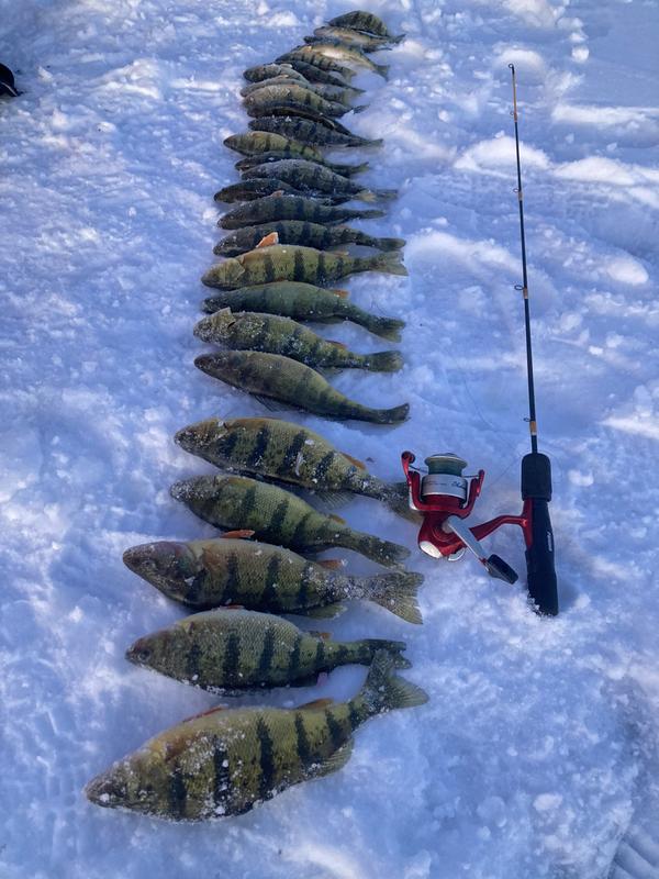 What I kept 1/3 of what I caught.