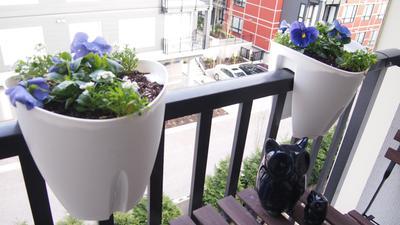 Photo - commentaire&nbsp;1.