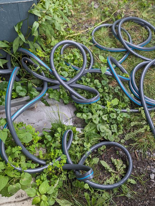 Photo - commentaire&nbsp;6.