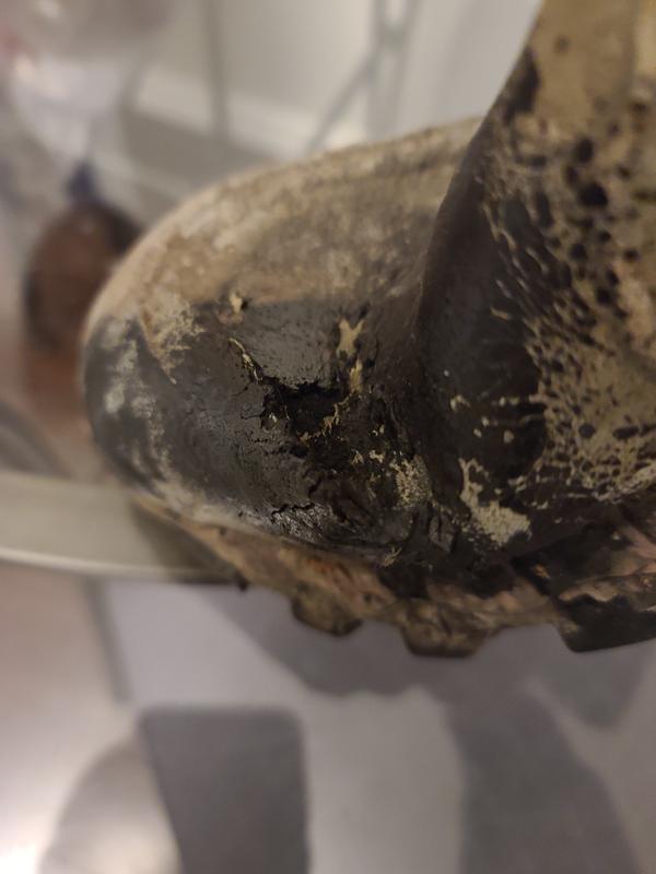 Photo - commentaire 4.