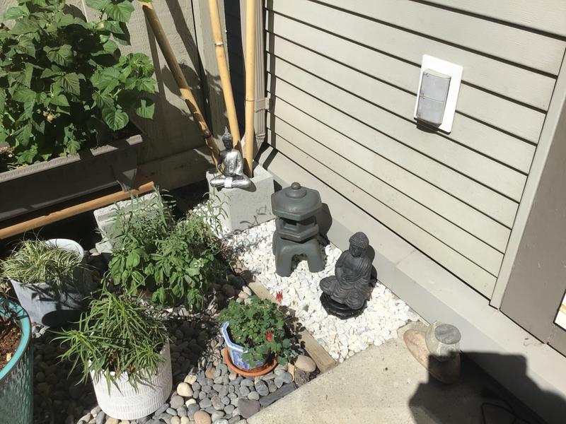 My little Zen Garden