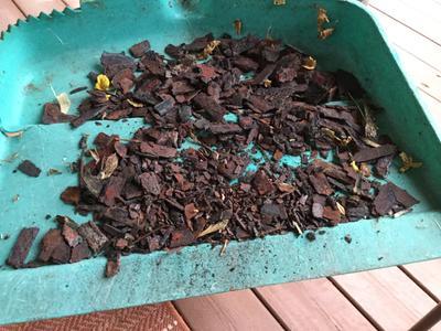 This is what came off