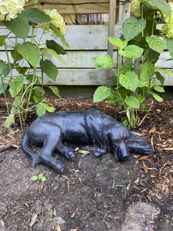 Photo - commentaire 7.