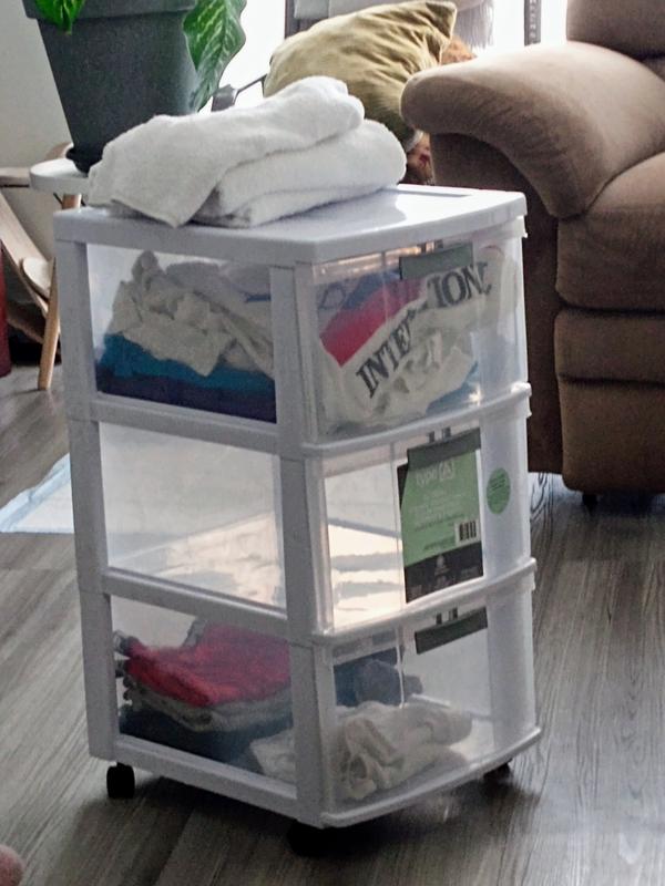 Photo - commentaire 1.