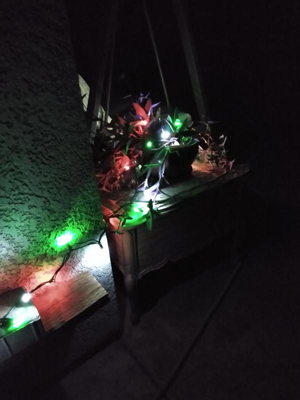 Give beauty to my backyard