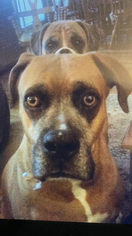 Tyson begging “Layla don’t forget me”