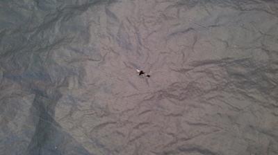 holes in tarp bottom