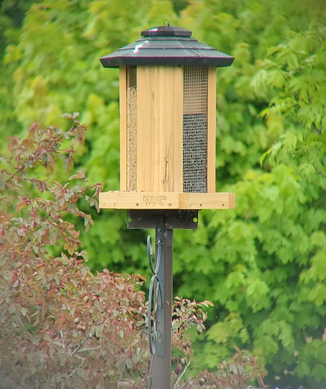 Photo - commentaire&nbsp;1.