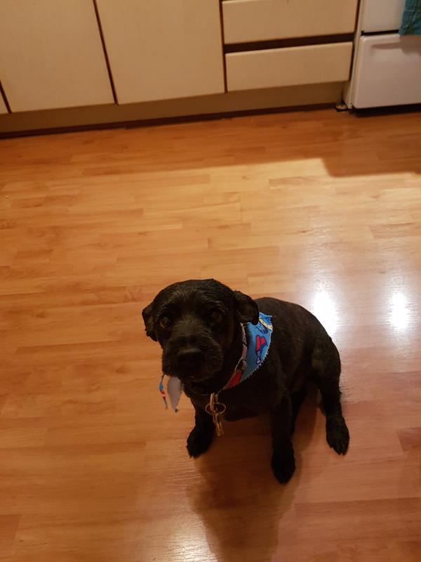 Photo - commentaire 5.