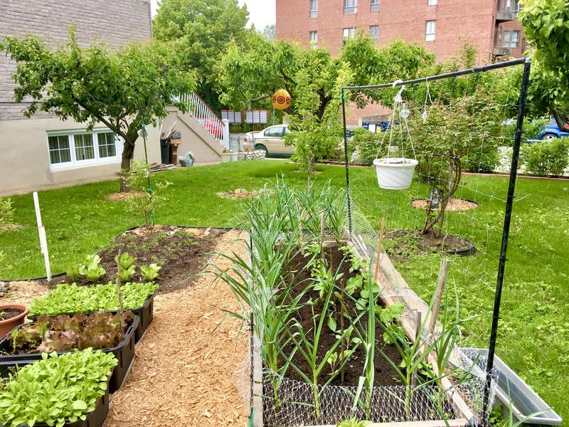 Photo - commentaire 4.