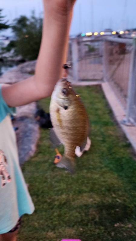 Photo - commentaire&nbsp;1.