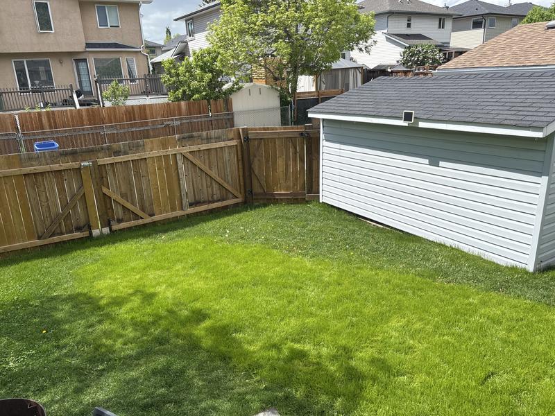My new grass