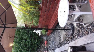 perfect shade umbrella