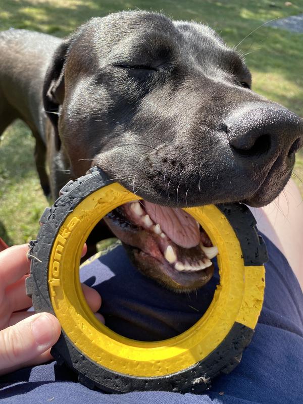 Photo - commentaire&nbsp;1.