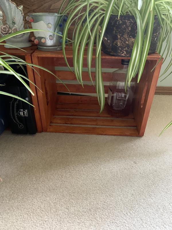 Photo - commentaire 5