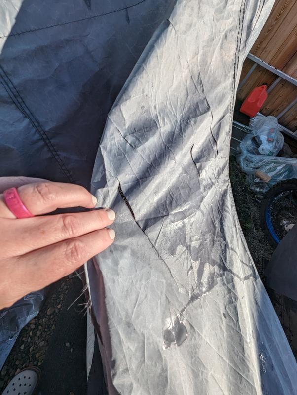 Photo - commentaire 2.