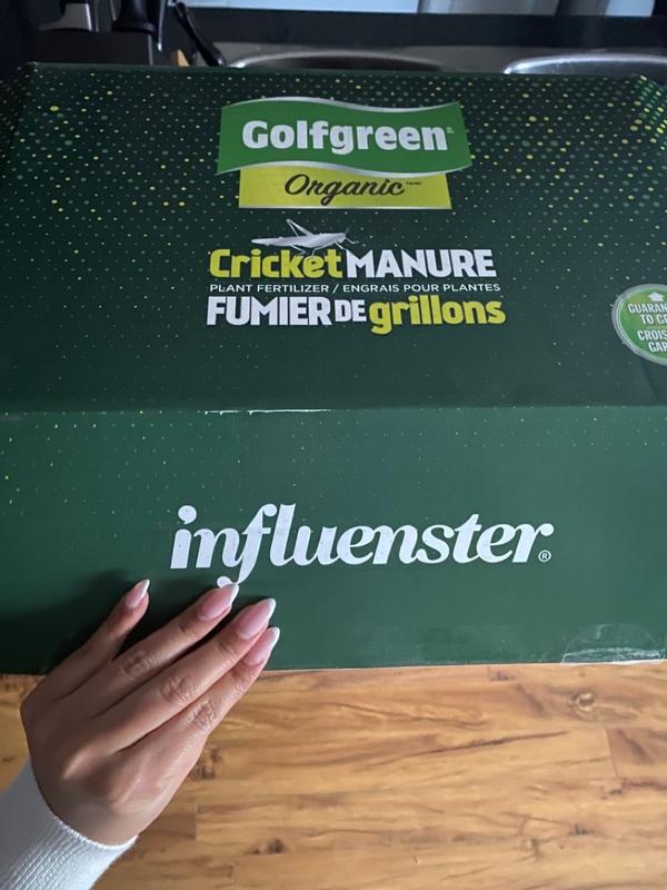 Photo - commentaire 7.