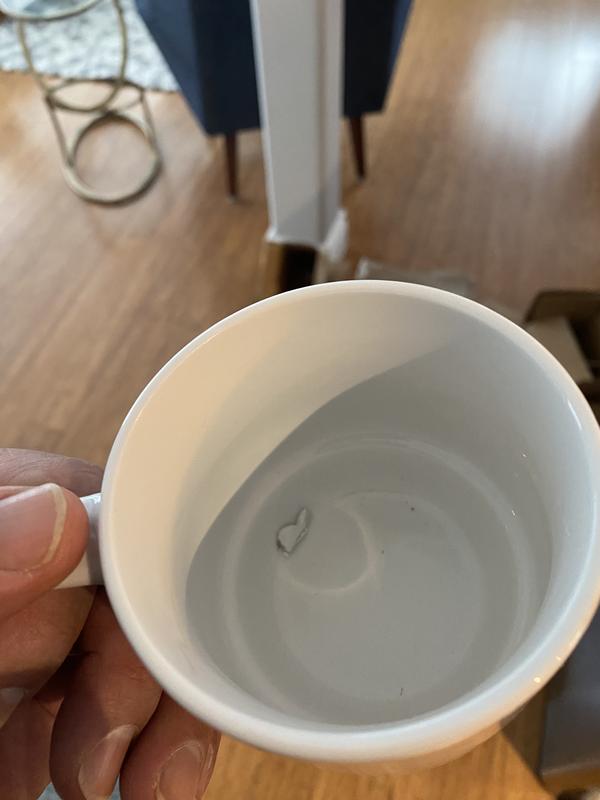 Chip sealed in glaze