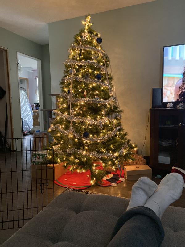 Photo - commentaire 1.