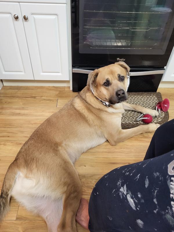 Photo - commentaire&nbsp;1.