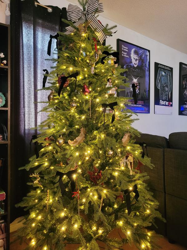 Photo - commentaire 2.