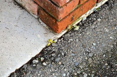 Photo - commentaire&nbsp;1.