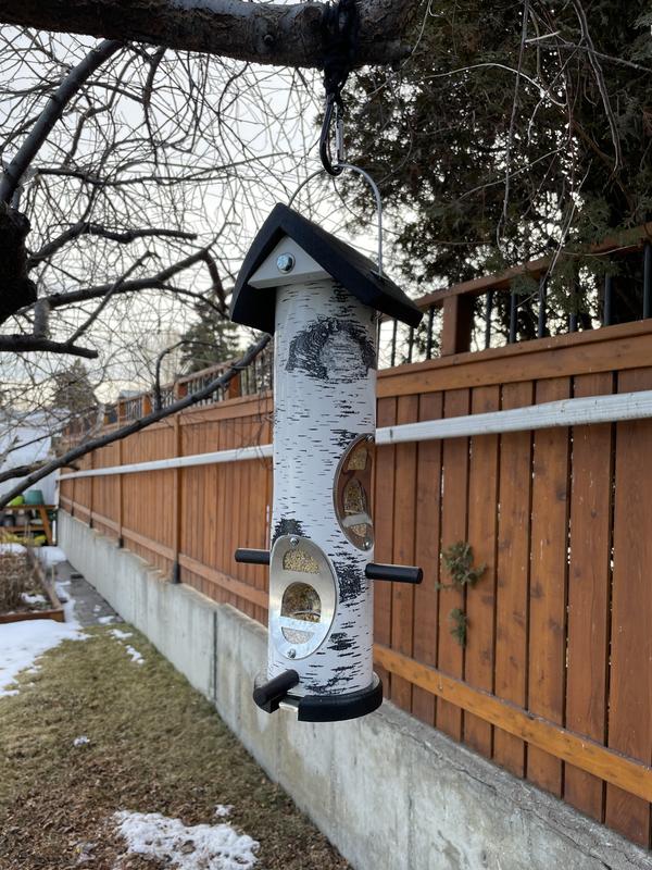 Photo - commentaire&nbsp;1.